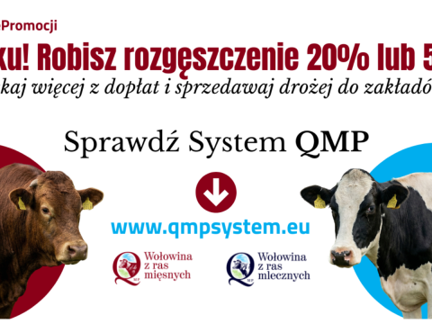 Ekoschemat „Dobrostan zwierząt” Dodatkowe pieniądze dla hodowców z QMP – tylko do 15 maja!
