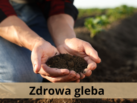 Dbaj o glebę – oferta Okręgowej Stacji Chemiczno-Rolniczej we Wrocławiu