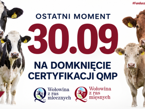Certyfikat QMP — termin uzyskania upływa 30 września 2026 r.